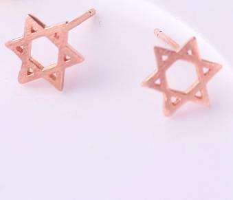 Feshionn IOBI Earrings 18K Rose Gold Star of David Silhouette Sterling Silver Stud Earrings