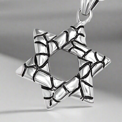 Feshionn IOBI Necklaces Stainless Steel Traditional Oxygenated Star of David Necklace for Men or Women