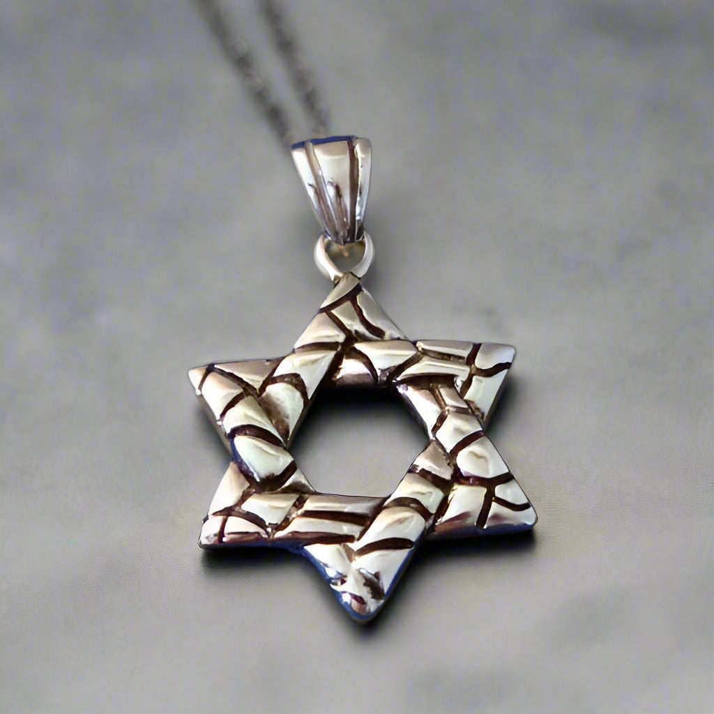 Feshionn IOBI Necklaces Traditional Oxygenated Star of David Necklace for Men or Women